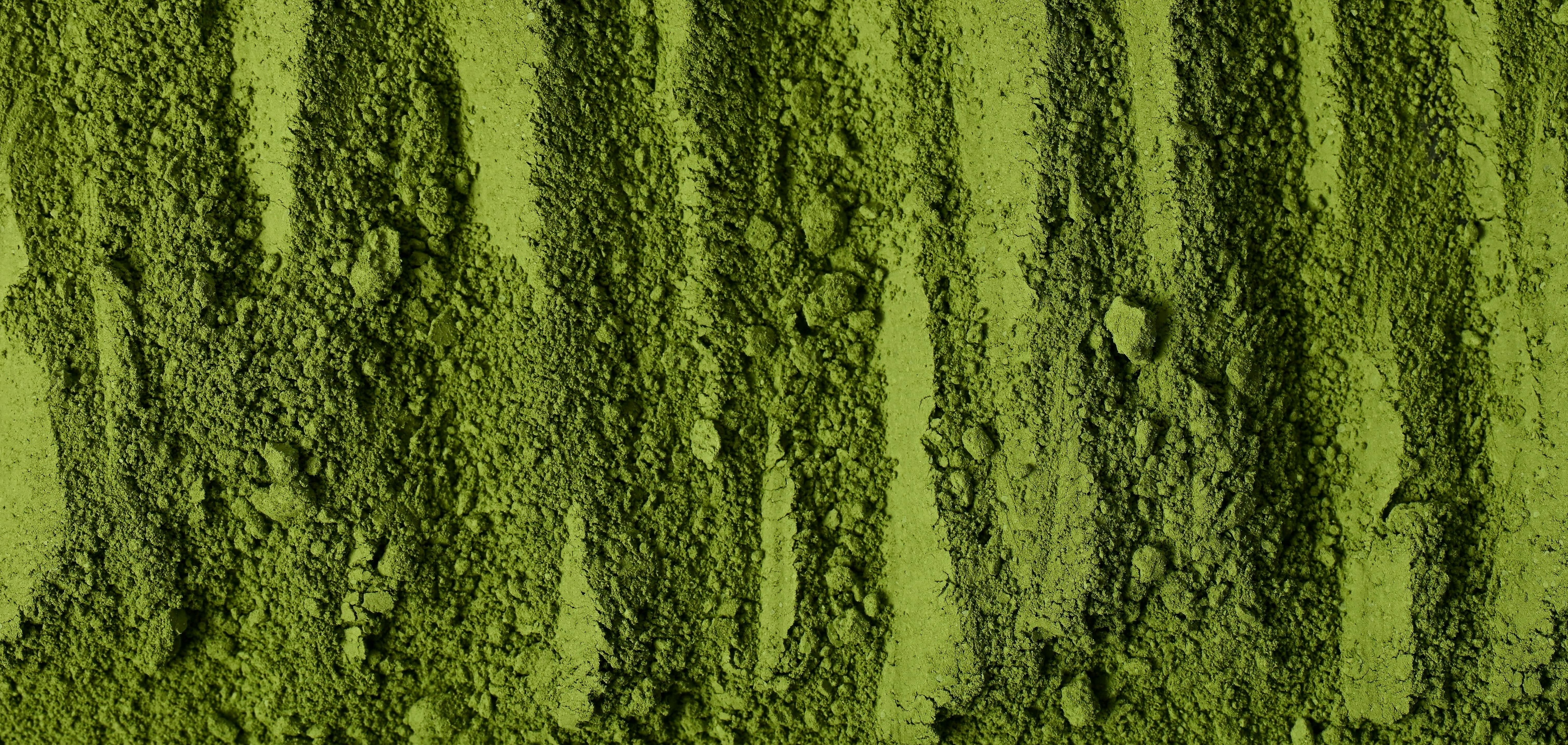 Grünes Pulver für Matcha Tee