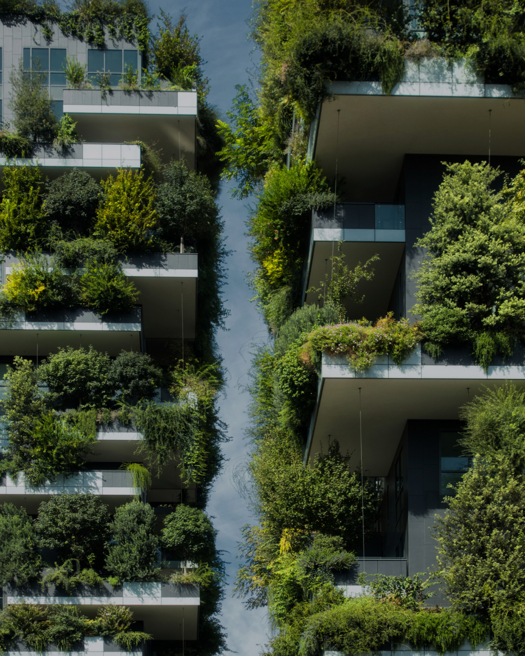 japanische Lebensphilosophien