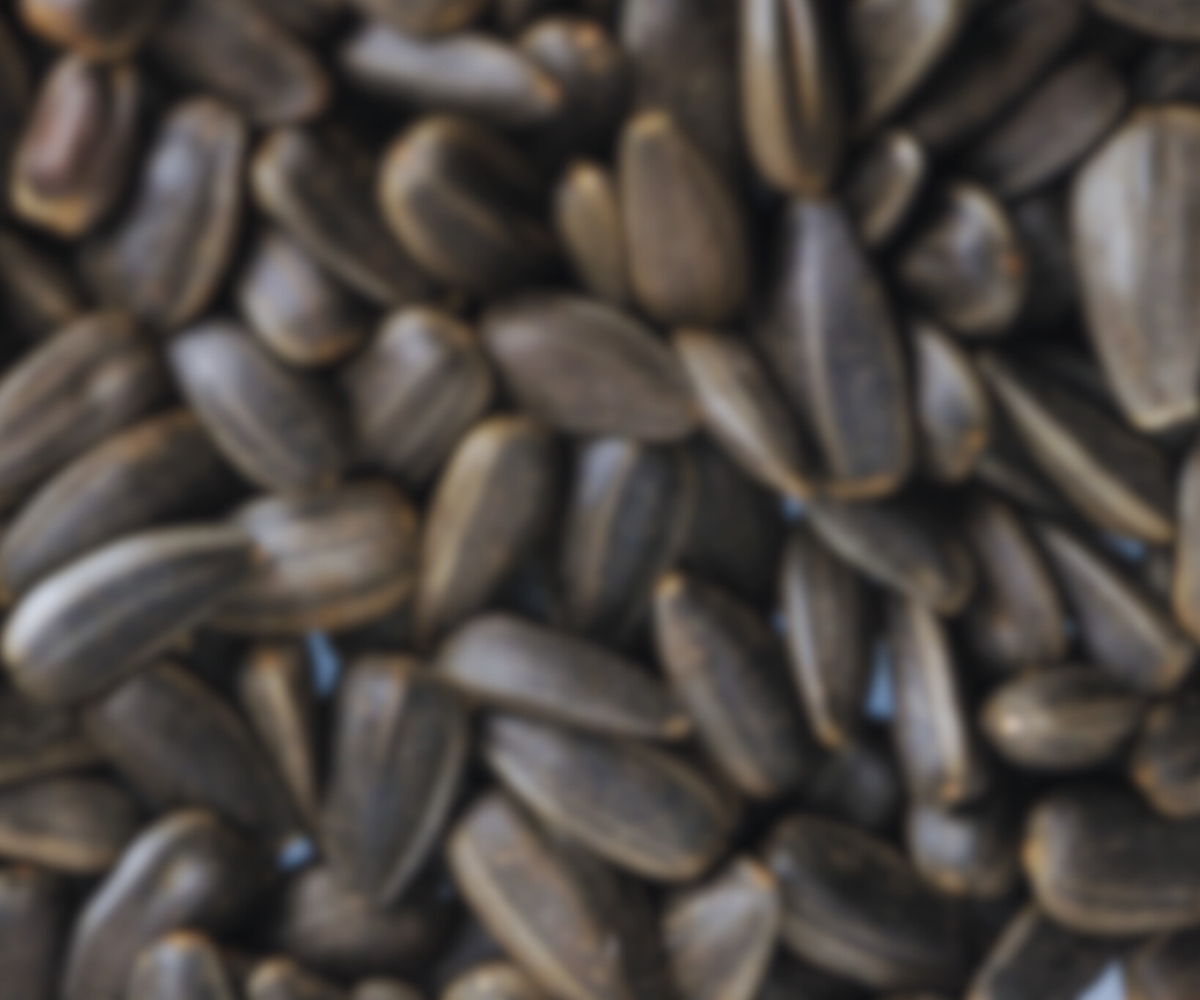 Vitamin B1: Energie & Nervenfunktion unterstützen