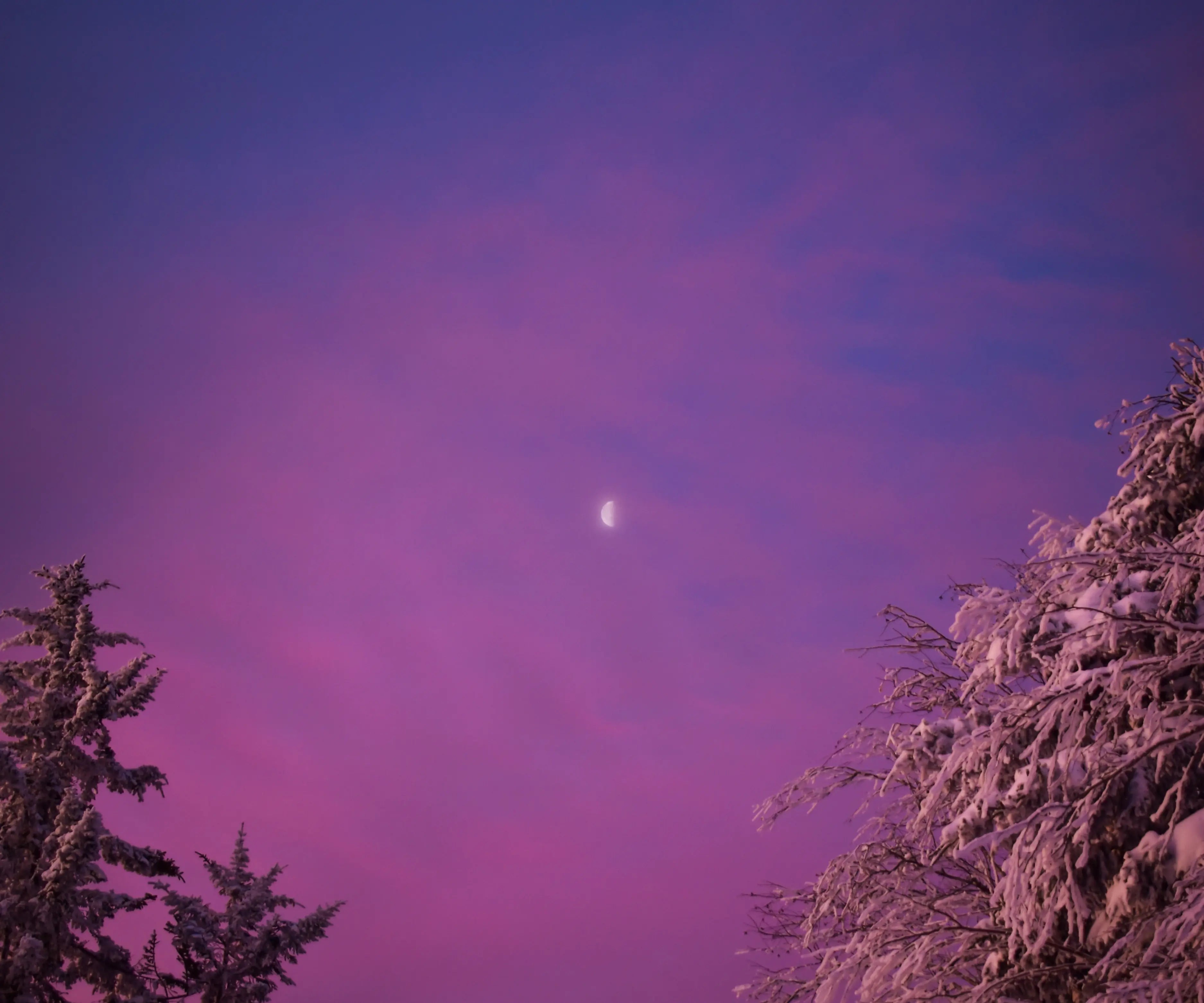 Warum dein Körper im November den Rhythmus verliert