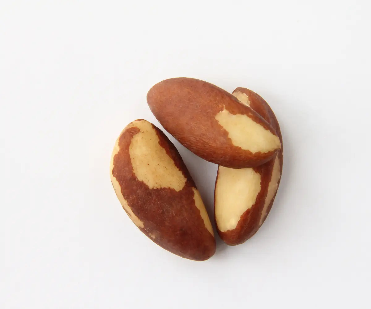 Selen: Antioxidativer Schutz für Schilddrüse & Zellen