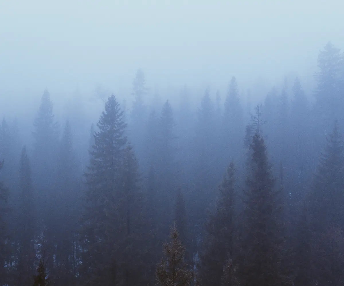 Winterblues adé: Mehr Energie & gute Laune in dunklen Tagen