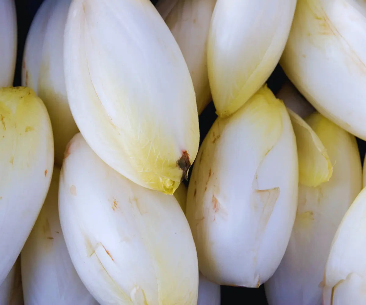 Inulin: Präbiotikum für eine gesunde Darmflora